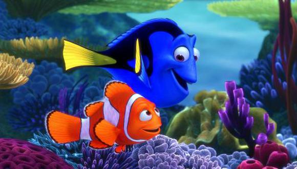 Matando a Nemo: sepa cómo capturan a los peces tropicales del filme |  TENDENCIAS | GESTIÓN