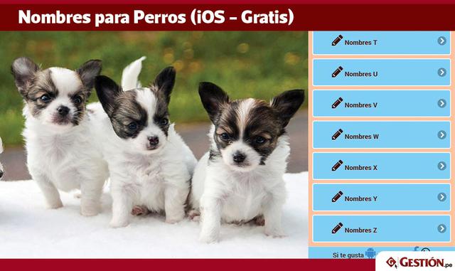 ¿Nueva mascota y no sabe cómo llamarlo? Con esta aplicación podrá encontrar el mejor nombre para su perro de entre una lista con más de 2.000 nombres ordenados por orden alfabético. Puede especificar si es hembra o macho.