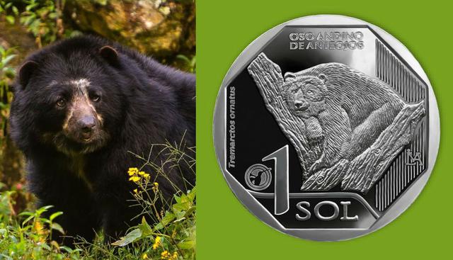 FOTO 1 | La primera moneda se acuñó en alusión al oso andino de anteojos. (Fuente: BCR)