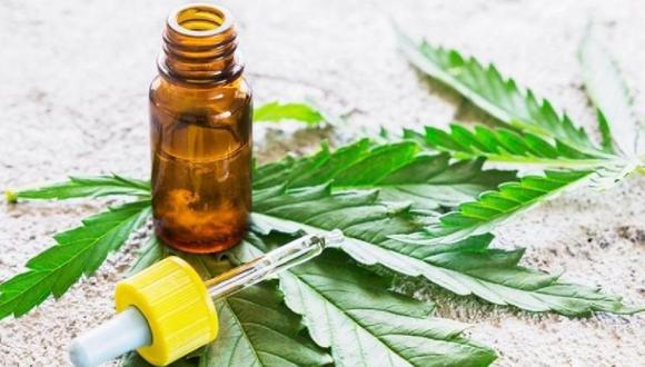 Ministerio de Salud publicó proyecto de reglamento que regula el uso medicinal y terapéutico del cannabis y sus derivados. (Foto: Referencial)