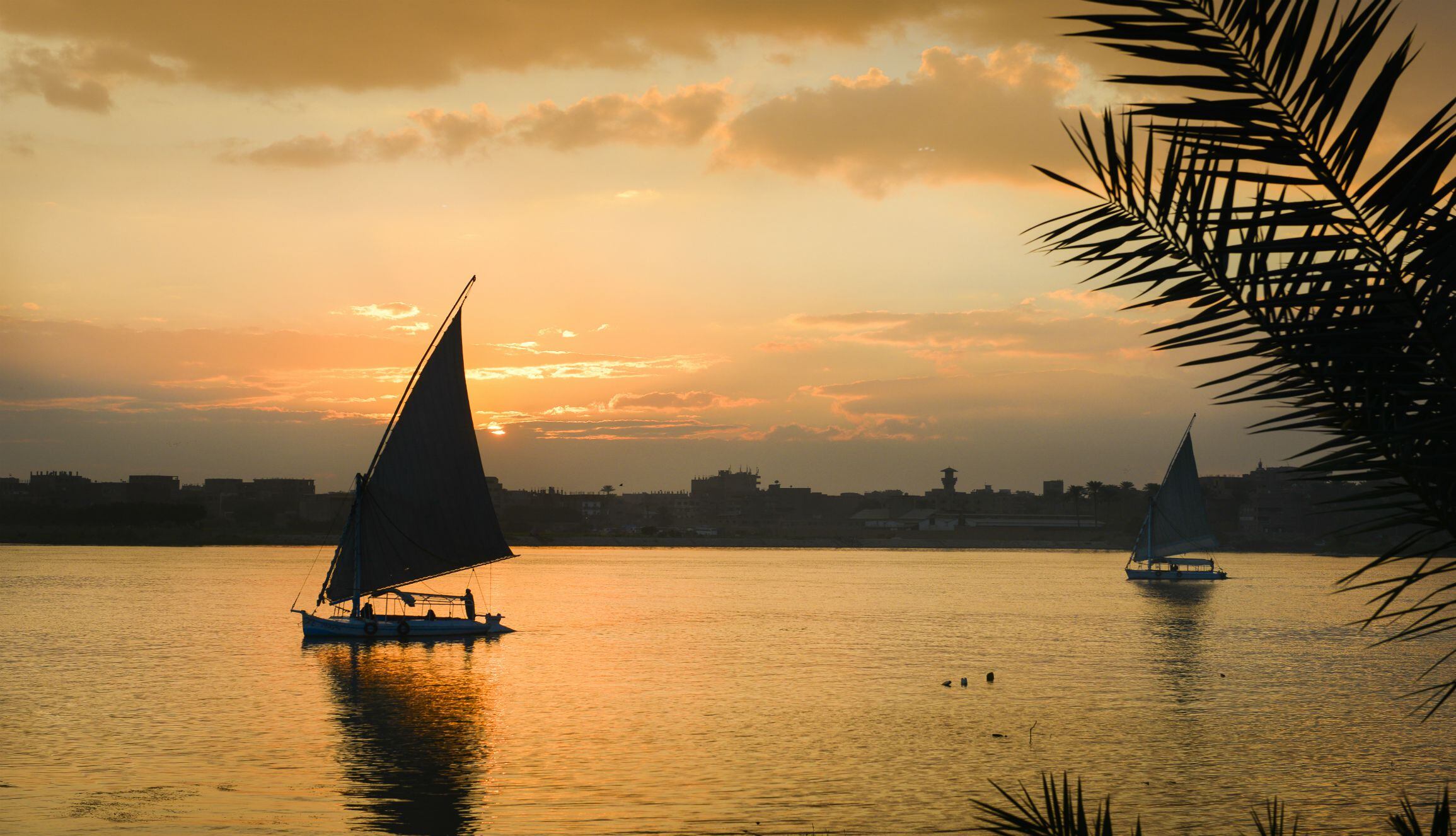 El Cairo es la puerta de entrada de un viaje épico que lo lleva a surcar el río Nilo. (Foto: Shutterstock)

