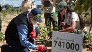 Reforestan al 100% las zonas afectadas por la minería ilegal en la reserva Tambopata