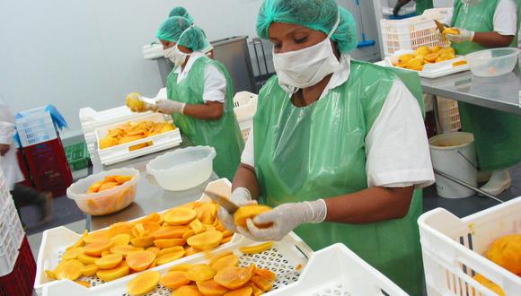 La Unión Europea ha elevado sus exigencias a los exportadores de mango. (Foto: difusión)