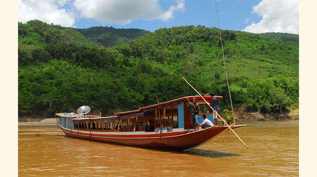 Gran Merkong, 15-30 millones de ha (Birmania, Tailandia, Laos, Camboya, Vietnam). El Gran Merkong es una de las áreas forestales más grandes del mundo. No obstante, la creación de cultivos, especialmente de palma aceitera, han devorado el 50% de su territ