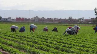 Conveagro pide incluir al fertilizante sintético en un Fondo de Estabilización de Precios