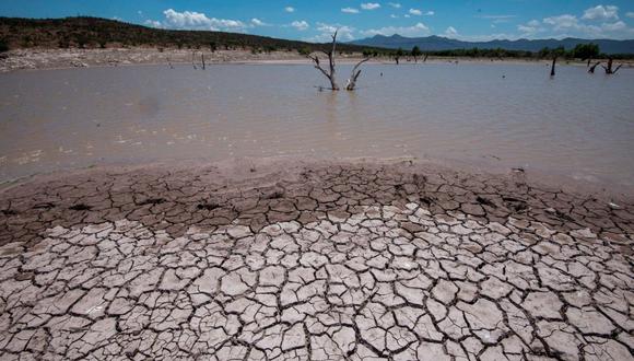 Las regiones más afectadas por la falta de agua son el departamento andino de Oruro, el sur de La Paz y el norte de Potosí. (Foto: La Razón)