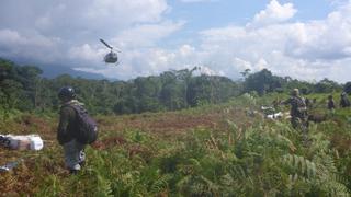 Casi 13,000 hectáreas de cultivos ilegales de coca fueron destruidas en el año