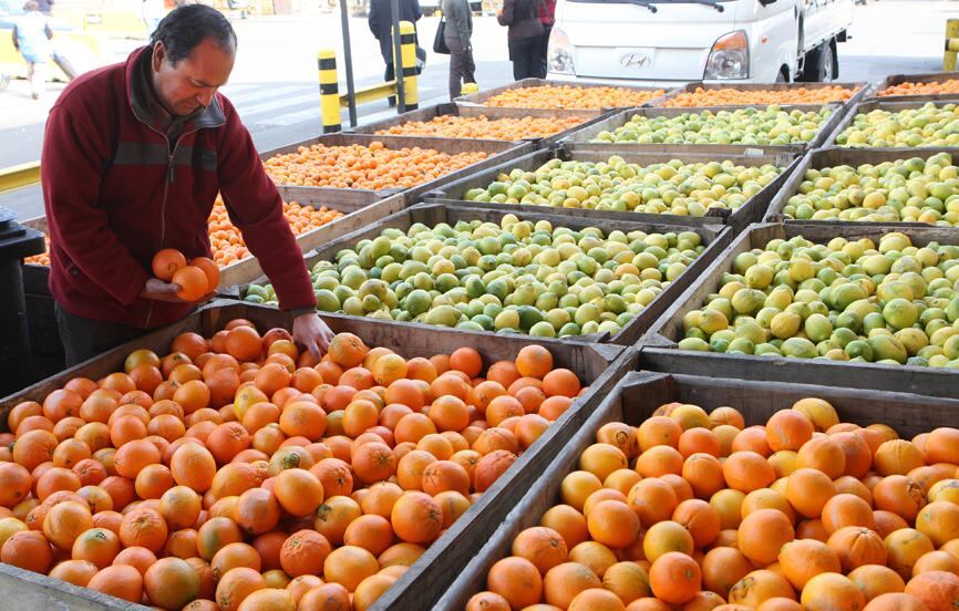 Fruta. (Foto: lacuarta.com).