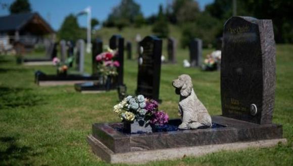 El pienso para animales y las tarifas de los veterinarios han subido, lo mismo que el de las cremaciones, debido al encarecimiento de los hidrocarburos.(Foto: AFP).