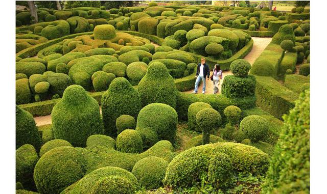 FOTO 1 | El jardín de Cyrano. Más de seis kilómetros de senderos y 150.000 setos de boj que forman un intrincado laberinto de escultuas vegetales recorren el parque del Marqueyssac, uno de los más bellos ejemplos de ars topiaria (poda artística). Los jard