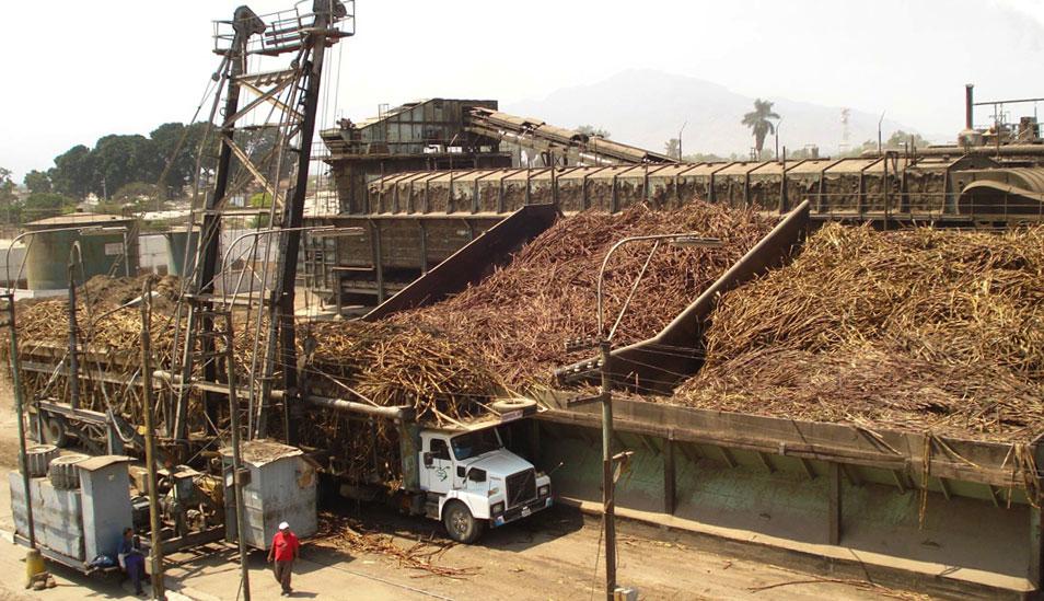 FOTO 1 | EMPRESA AGROINDUSTRIAL TUMAN S.A.A. (101'689,953). (Foto: agronegociosperu)