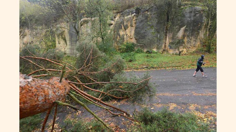 FOTO 1 | Un hombre pasea frente a un árbol caído durante la tormenta, que ha alcanzado los 180km/h, en Praga (República Checa). La fuerte lluvia inundó en muchos lugares los sótanos y las ráfagas de viento arrancaron árboles en todo el país bloqueando las