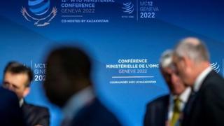 Ministros piden incluir la crisis climática en las preocupaciones de la OMC