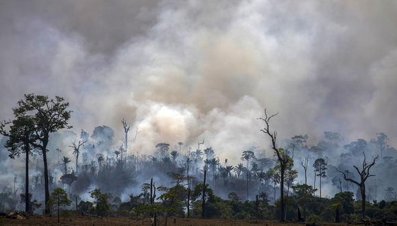 "La ciencia está demostrando que estamos muy cerca de un punto de no regreso. Que si superamos ese punto, con la deforestación regional o el calentamiento global, el 60%-70% de la selva amazónica puede desaparecer en 30 a 50 años", advirtió Nobre. (Foto: AFP/Archivo)