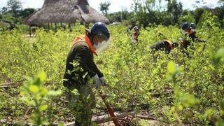 Productores de hoja de coca rechazan que exviceministro de Gobernanza sea ahora titular de Enaco