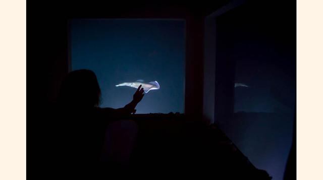 Una noche en esta suite cuesta 1,200 euros, aunque se puede pagar menos si se va acompañado. (Foto: Zillamag)