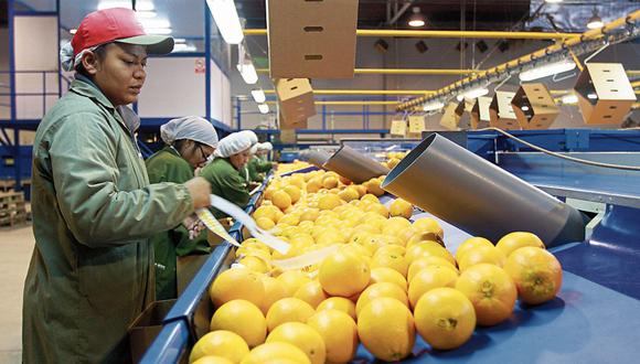 En el 2021 Perú se posicionó en el puesto N° 29 del ranking mundial de los países exportadores de jugos de frutas y en el N° 6 en Latinoamérica. (Foto: GEC)