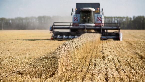 Un acuerdo alcanzado en julio bajo el auspicio de la ONU permite a Ucrania exportar productos agrícolas. (Foto: Bloomberg)