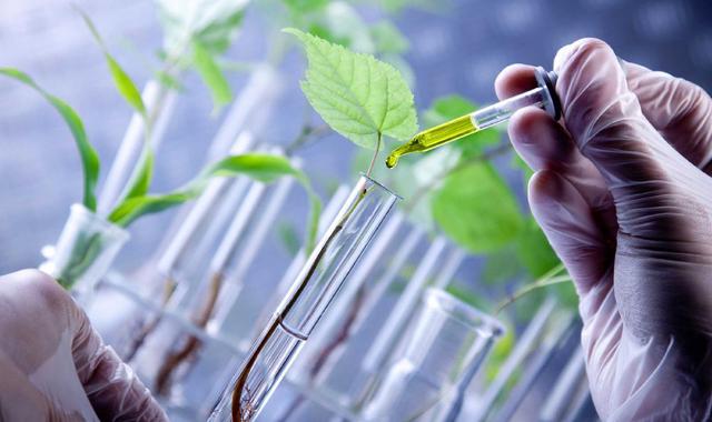 FOTO 24 | Universidad Nacional Autónoma de Huanta (UNAH). Entre las carreras que ofrece están: Biotecnología, Zootecnología, Ingeniería y Gestión ambiental, Administración de Turismo Sostenible y Hotelería, e Ingeniería de Negocios Agronómicos y Forestale