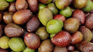 Exportación de palta a EE.UU.: Presentaciones con valor agregado ganan nuevos adeptos