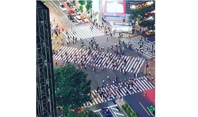 Paso de cebra diagonal. Muchos conocen la situación cuando se antoja cruzar una intersección de calles en diagonal pero no se puede. En Tokio es posible e incluso existen pasos de cebra en diagonal.