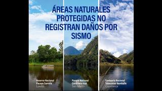 Ministerio del Ambiente: fuerte sismo en Loreto no causó daños en áreas naturales protegidas