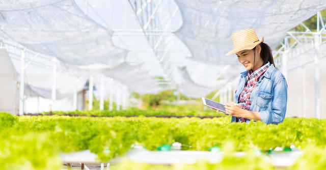 FOTO 1 | 1. Investigación aplicada (Foto: iStock)