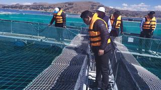 Puno: instalan laboratorio en el lago Titicaca para realizar evaluaciones sanitarias a truchas