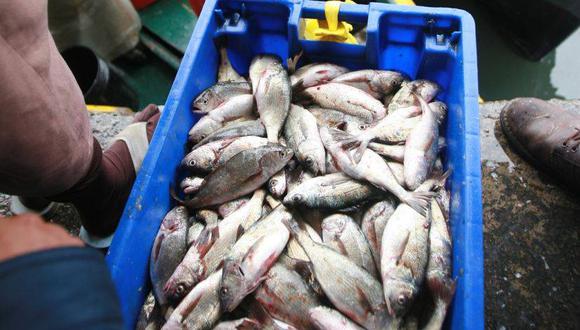 El jurel es el pescado más consumido por los peruanos. Foto referencial. (Fuente: USI)