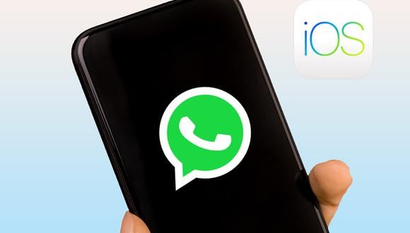 Sigue estos trucos de WhatsApp para volver a recibir notificaciones en tu celular iOS. (Foto: Pixabay / Apple)