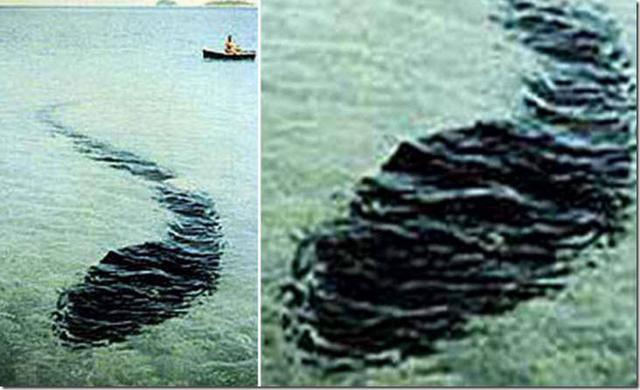 9. El monstruo de la isla Hook