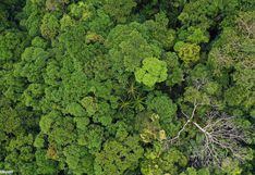 Indígenas amazónicos piden US$ 5 millones para enfrentar la pandemia