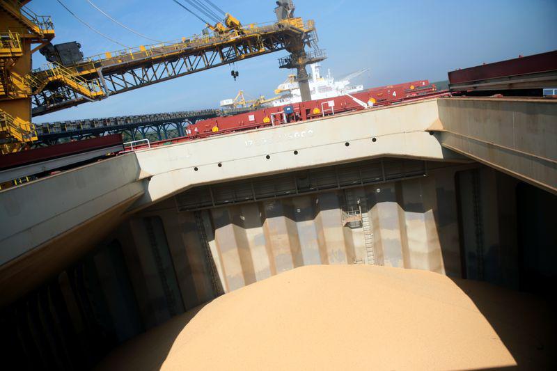 Si bien China comenzó a comprar algunas cargas hace poco más de un mes, los compradores aumentaron la semana pasada el interés por los envíos de febrero y marzo.