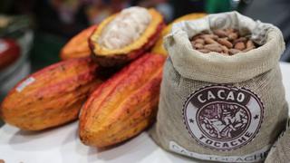 Las trabas logísticas que ponen en jaque al cacao peruano en plena recuperación del precio