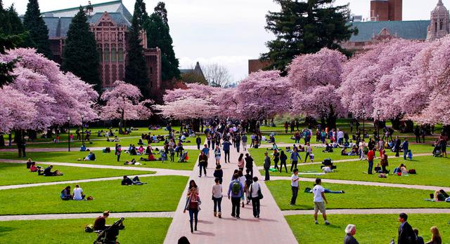 FOTO 14 | University of Washington (Foto: washington)