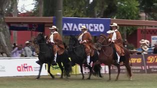 77 Concurso Nacional Oficial del Caballo Peruano de Paso se celebra este fin de semana