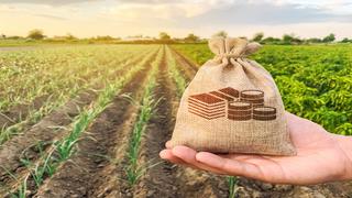 Bunge lanza fintech para apoyar el financiamiento de agronegocios en Brasil