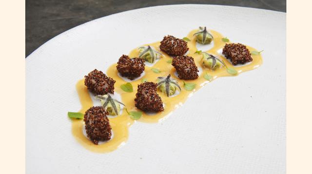 Líneas de conchas. (Foto: Central)