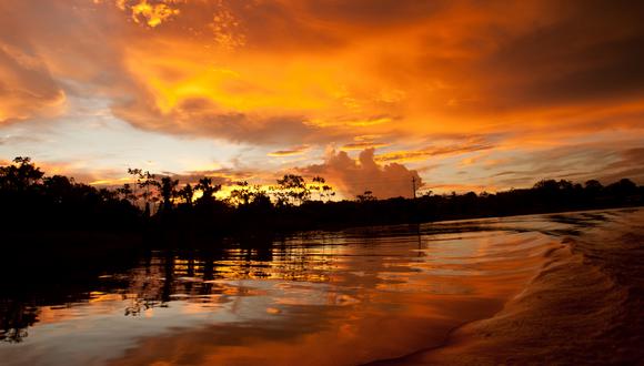 FOTO 11 | Iquitos. Observación y paisajes en la selva ofrece este pack de cuatro días y tres noches en el Amazon Camp Lodge a S/ 480, con 50% de descuento. (Foto: USI)