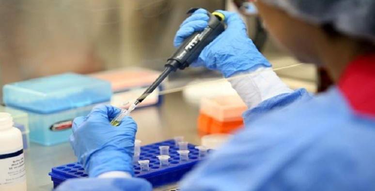 El Instituto Nacional de Salud rechazó adquirir 500 mil pruebas moleculares a empresa coreana a 35 dólares cada una.  (Foto: Difusión)