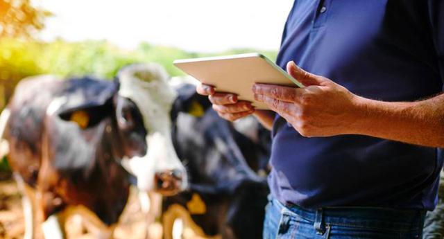 FOTO 3 | Agronegocios, con un ingreso promedio mensual de S/3,964. (Foto: iStock)