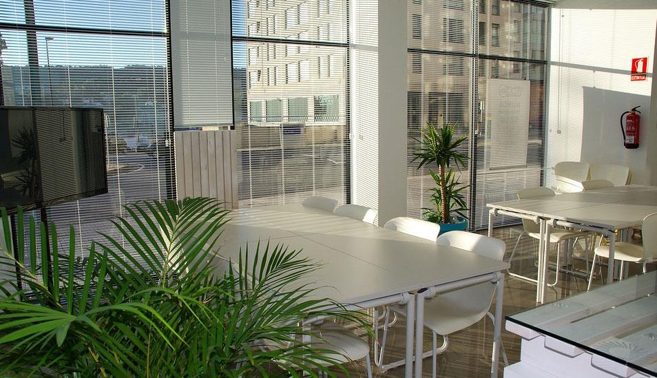 FOTO 4 |4. Ambientes: Los ambientes de Coworking suelen ser espacios amplios, con áreas comunes de recreación, cafetería y trabajo, y son coloridos, con mucha iluminación y el mobiliario adecuado para trabajar. Existe oficinas privadas, para dos o más personas o incluso mesas grandes donde se juntan varios emprendedores. Además, podemos ir de un ambiente a otro según cuánta privacidad necesitemos. Trabajar en uno de estos espacios mejora en un 75% la productividad. (Foto: Pixabay)