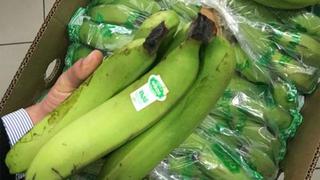 Canadá y Chile se perfilan como mercados en crecimiento para el banano orgánico 