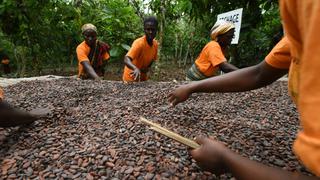 Cifras y protagonistas del cacao: Ghana y Costa de Marfil suspenden venta y piden precio mínimo