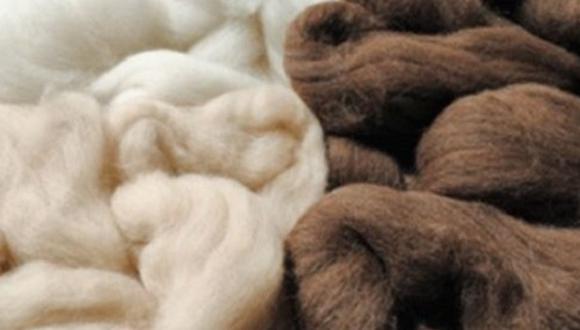 Exportadoras de ropa de lana de alpaca a China ganarían US$ 1.5 millones  anuales, ECONOMIA