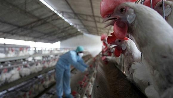Centro Nacional de Epidemiología informó que centros de salud están capacitados para activarse en caso se detecte un caso de la gripe aviar en humanos. (Foto: Getty Images)