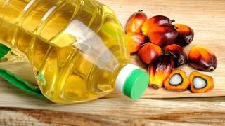 Palmicultores pierden S/ 70 millones en producción de fruto y aceite de palma