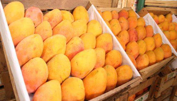 La campaña de mango se encuentra en el tramo final. (Foto: Andina)
