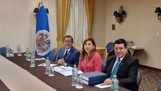 Camones con la OEA: “Hemos descartado la instrumentalización de la Subcomisión de Acusaciones”
