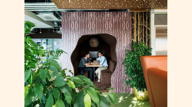 También hay vegetación en toda la oficina y algunos espacios ideales para reuniones de grupos pequeños… (Foto: Peter Würmli)